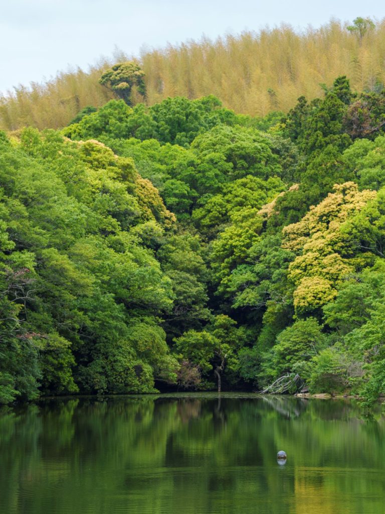 ウェルネス旅ってどんなもの？日本観光を盛り上げる旅を体験してみよう！