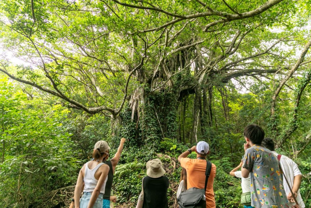 ウエルネス旅ってどんなもの？日本観光を盛り上げる旅を体験してみよう！